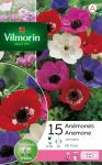 Bulbes à fleurs à planter à l'automne - Anémone De Caen En Mélange (x15) - face recto